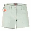 Amundsen 5incher Concord Shorts Womens (Gray Mist/Natural)