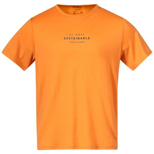 Bergans Graphic Wool Tee (Golden Field/North Sea Blue) 1 Bergans Graphic Wool Tee (Golden Field/North Sea Blue)